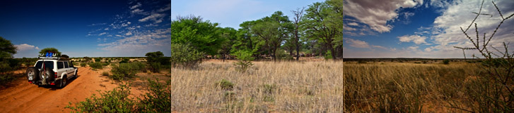 Website Bilder Reisebericht Zimababwe 2009 031 (Sh