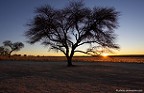 Botswana