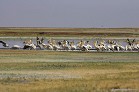 ZA-BW-2005KQ2G2669